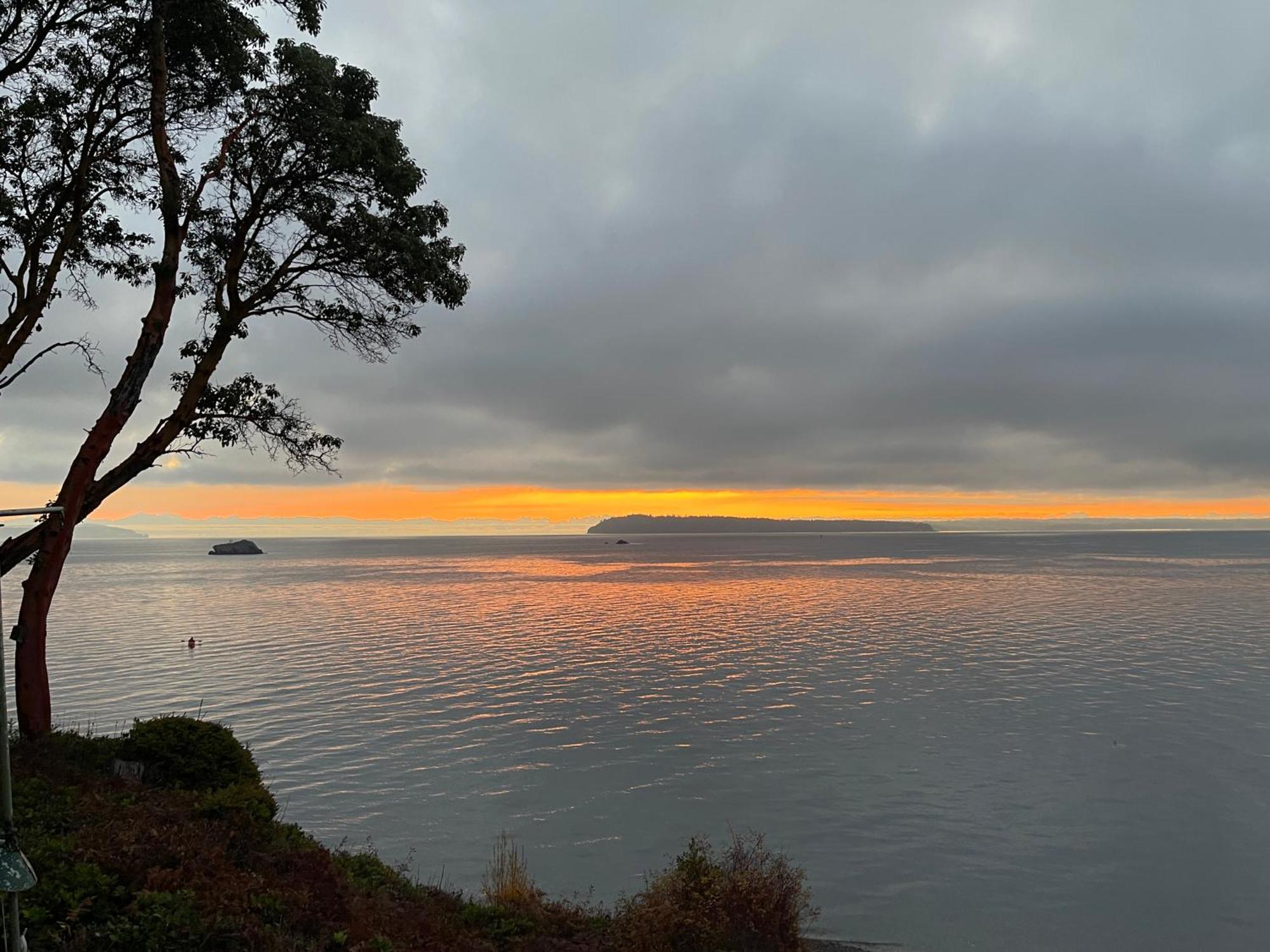 Puget Sound Chic Romantic Cottage With Private Beach Access & Gated Entry Port Ludlow Eksteriør bilde